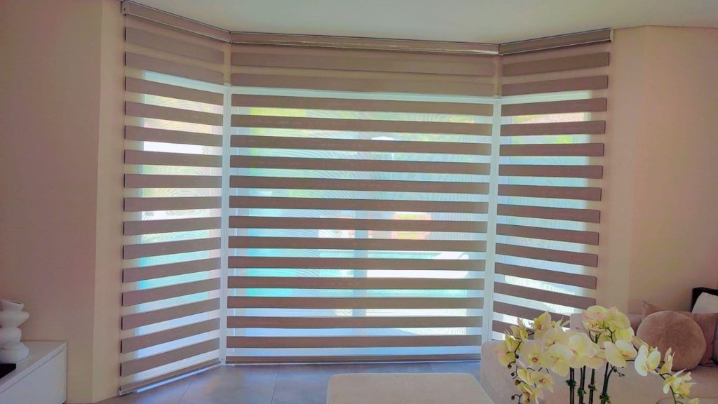 Zebra Blind